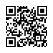 QR Code (код быстрого отклика)