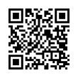 QR Code (код быстрого отклика)
