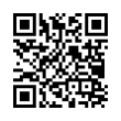 QR Code (код быстрого отклика)