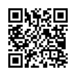 QR Code (код быстрого отклика)