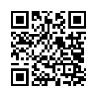 QR Code (код быстрого отклика)