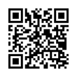 QR Code (код быстрого отклика)