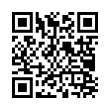 QR Code (код быстрого отклика)
