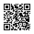 QR Code (код быстрого отклика)