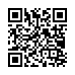 QR Code (код быстрого отклика)