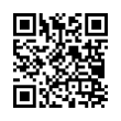 QR Code (код быстрого отклика)