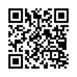 QR Code (код быстрого отклика)