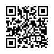 QR Code (код быстрого отклика)