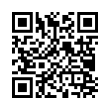 QR Code (код быстрого отклика)