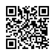 QR Code (код быстрого отклика)
