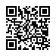 QR Code (код быстрого отклика)