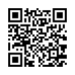 QR Code (код быстрого отклика)
