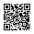 QR Code (код быстрого отклика)