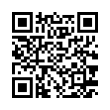 QR Code (код быстрого отклика)