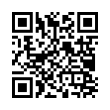 QR Code (код быстрого отклика)