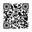 QR Code (код быстрого отклика)