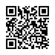 QR Code (код быстрого отклика)