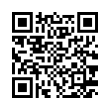QR Code (код быстрого отклика)