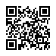 QR Code (код быстрого отклика)