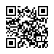 QR Code (код быстрого отклика)