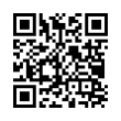 QR Code (код быстрого отклика)