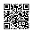 QR Code (код быстрого отклика)