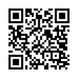 QR Code (код быстрого отклика)