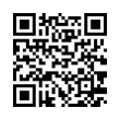 QR Code (код быстрого отклика)