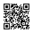 QR Code (код быстрого отклика)