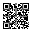 QR Code (код быстрого отклика)