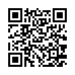 QR Code (код быстрого отклика)