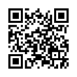 QR Code (код быстрого отклика)