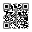 QR Code (код быстрого отклика)