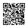 QR Code (код быстрого отклика)