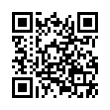 QR Code (код быстрого отклика)