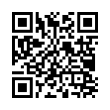 QR Code (код быстрого отклика)
