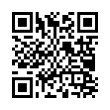 QR Code (код быстрого отклика)