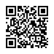 QR Code (код быстрого отклика)