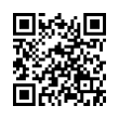 QR Code (код быстрого отклика)