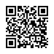 QR Code (код быстрого отклика)
