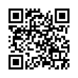 QR Code (код быстрого отклика)