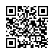 QR Code (код быстрого отклика)