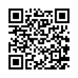 QR Code (код быстрого отклика)