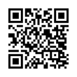 QR Code (код быстрого отклика)