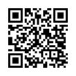 QR Code (код быстрого отклика)