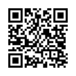 QR Code (код быстрого отклика)