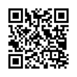 QR Code (код быстрого отклика)