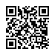 QR Code (код быстрого отклика)