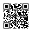 QR Code (код быстрого отклика)