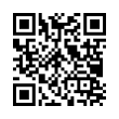 QR Code (код быстрого отклика)